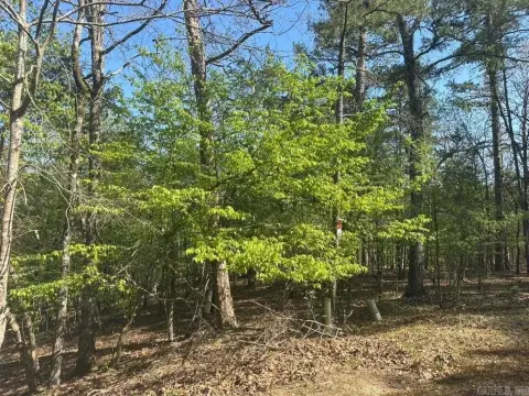 Residential Lot in Hot Springs