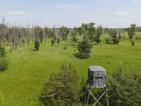 Hunting and Recreation Land Parcel