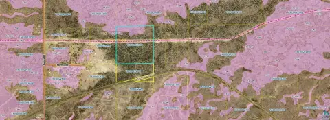 Hunting Land with Two Parcels