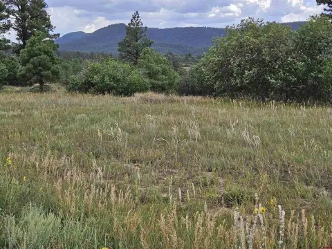 Land Parcel in Pagosa Springs