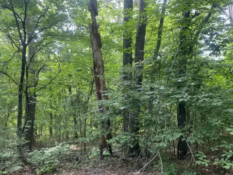 Residential Lot in Hot Springs