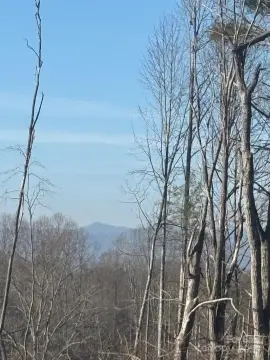 Remodeled Mobile Homes Investment Opportunity