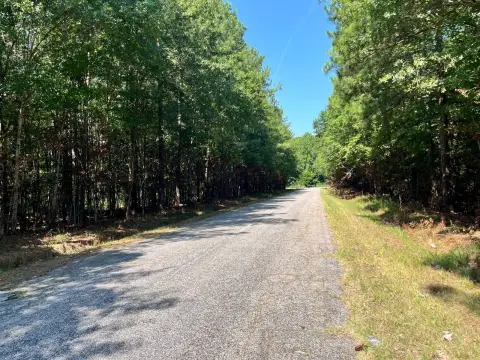 Level Wooded Land