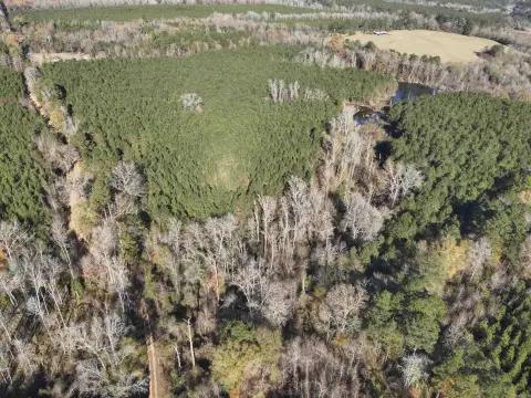 120 Acres of Timberland in Rosston