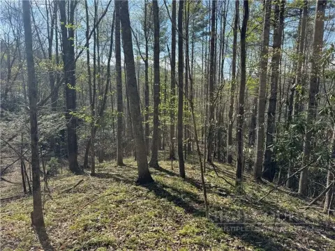 Land in Blue Ridge Mountains