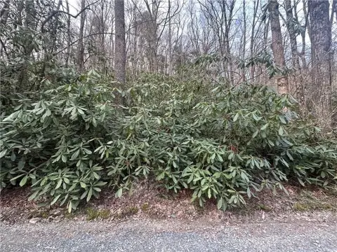 Boone, NC Wooded Lot