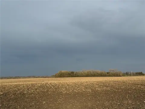 81.59 Acres in Lac Qui Parle