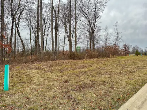 Residential Wooded Lot in Columbus