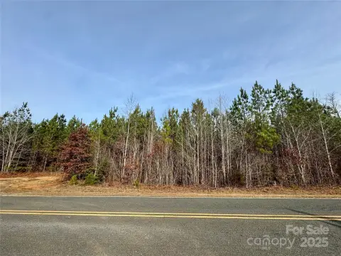 Mount Gilead Wooded Land Parcel