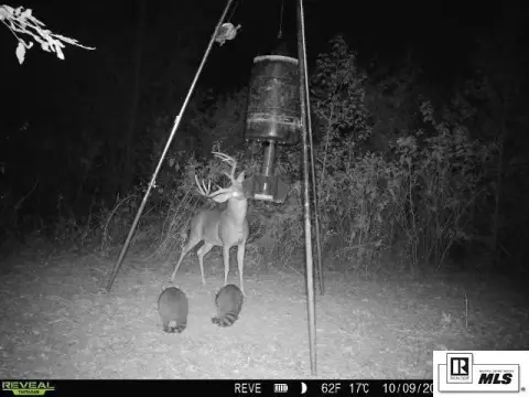 Hunting Land