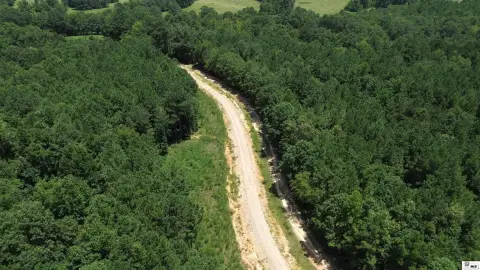 Multi-Use Timber Recreational Tract
