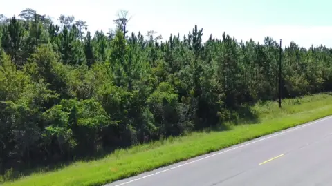 Wooded Land Parcel