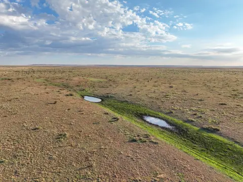 Grazing Agricultural Land