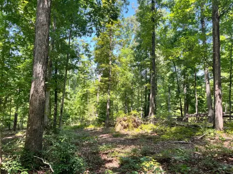 15.5-Acre Recreational Land