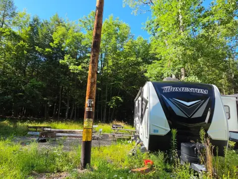 Wooded Hunting Land with Stream