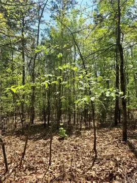 Land Adjoining National Forest