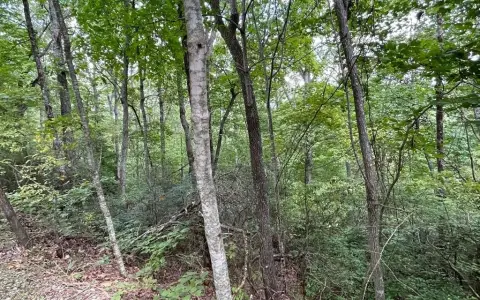 Hayesville, NC Wooded Lot