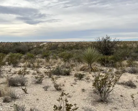 Desert Recreation Land with Road Access