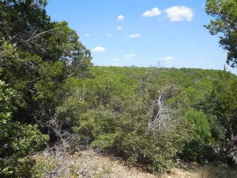 Wooded Ranch with Two Ponds