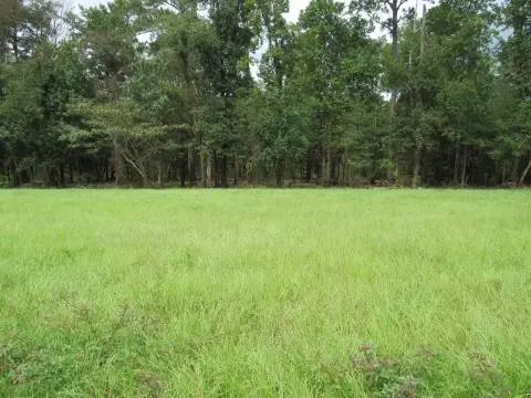 Residential Land in Eufaula, AL