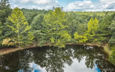 Wooded Agricultural Land