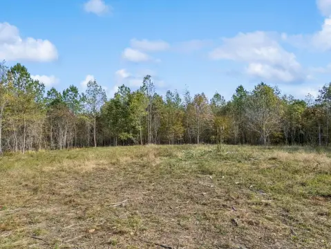 Expansive Vacant Land in Duck River