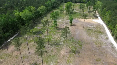 Cleared Land Near Highway 27