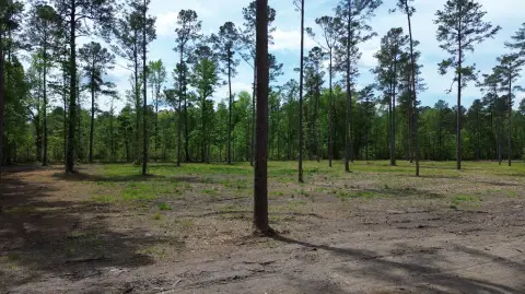 Cleared Land Near Highway 27