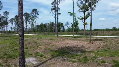 Cleared Land in Holly Hill