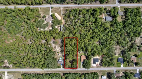 Partially Cleared Vacant Home Lot