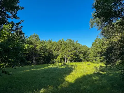 275 Acres in Bellevue Community