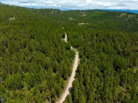 Montana Forestland: Privacy and Potential