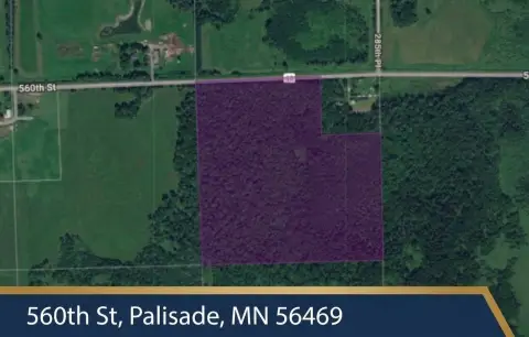 Hunting Land with Road Access