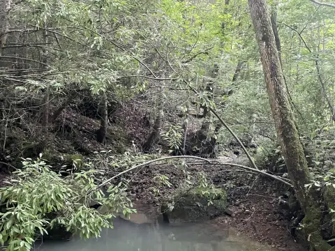 Waterfront Hunting and Recreation Land