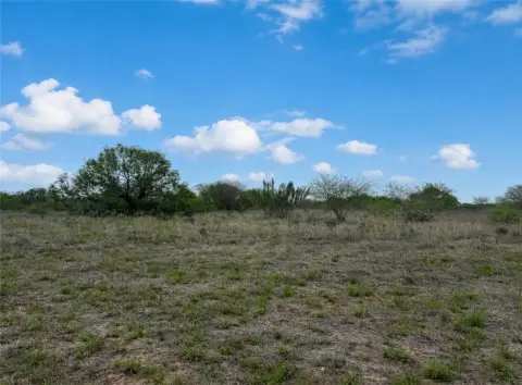 Acre Tract in Alice, TX