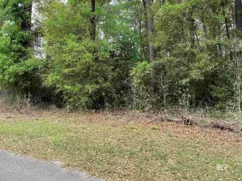 Residential Lots in East Brewton