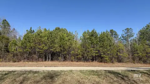 Land in Baldwin County, Alabama