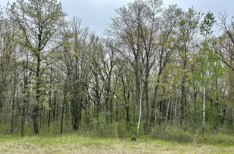 Recreational Hunting Land Parcel