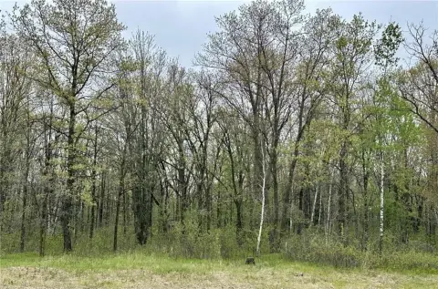 Scenic 35-Acre Recreational Land