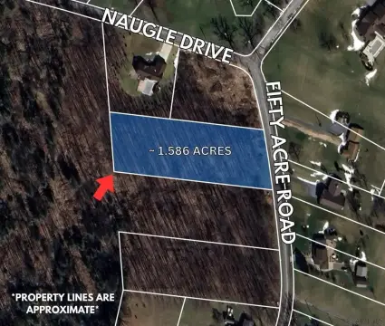 Residential Land in Adams Township