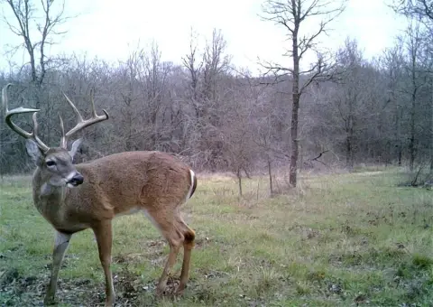 Spacious Acreage Near Richland Chambers Lake