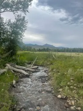 Agricultural Land with Live Water