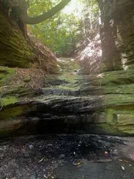 Campton Land with Waterfall