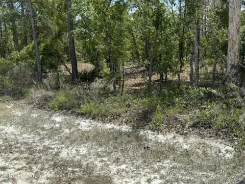 Residential Land in Royal Highlands