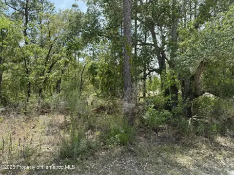 Royal Highlands Homesite Opportunity