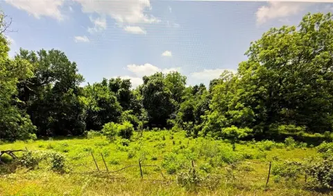 32.3 Acres of Raw Land