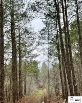 Hunting Land with Dedicated Access