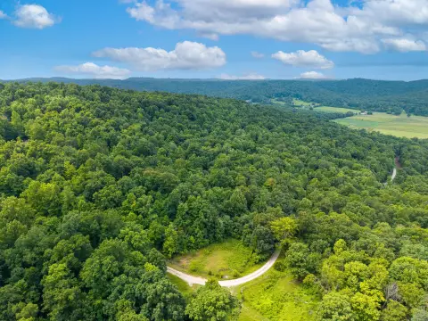 Wooded Recreational Land Tract