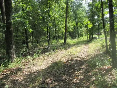 Marshfield Land for Nature Lover