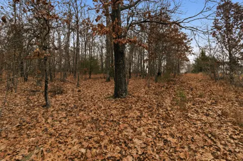 Ozark Land: Hunting & Recreation